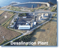 desafination plant